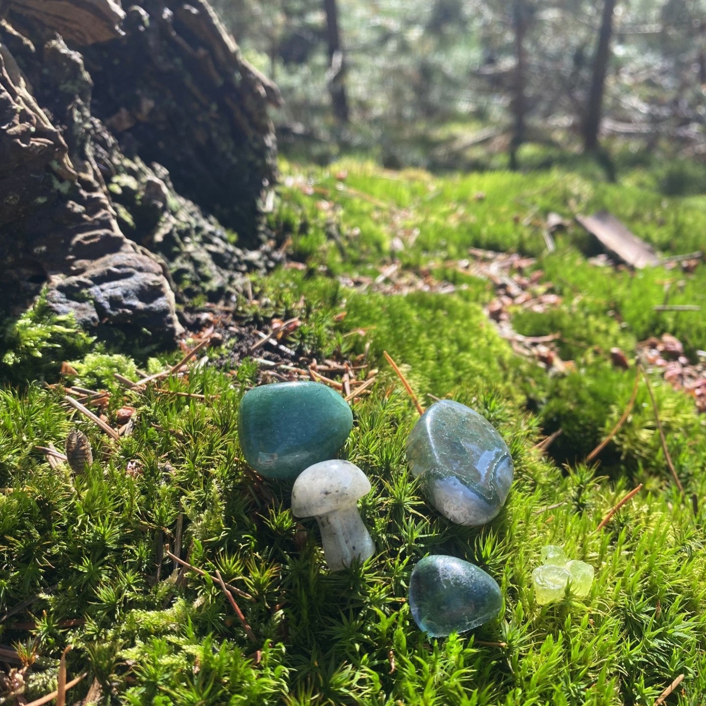 Forest Fairy Crystal Bundle | Earth